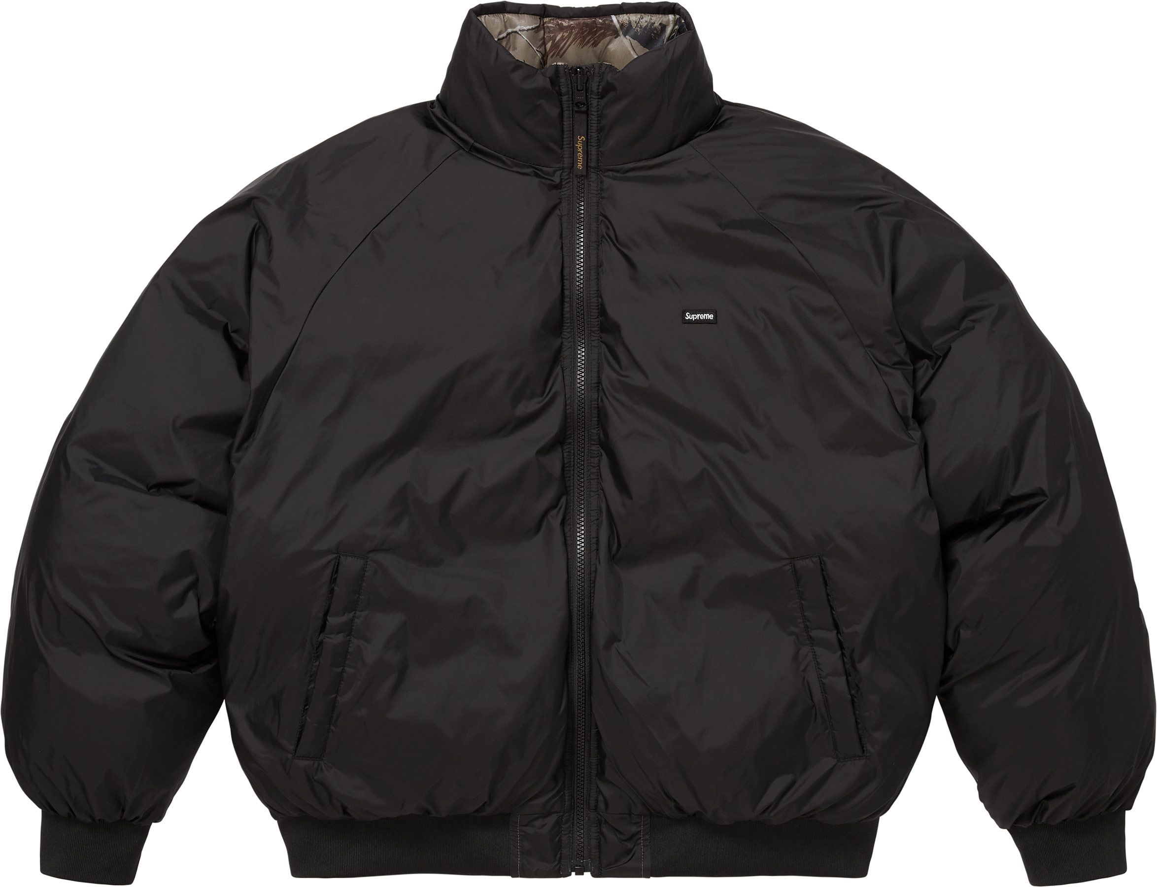2-in-1 GORE-TEX Parka + Reversible 700-Fill Down Liner Jacket view 38